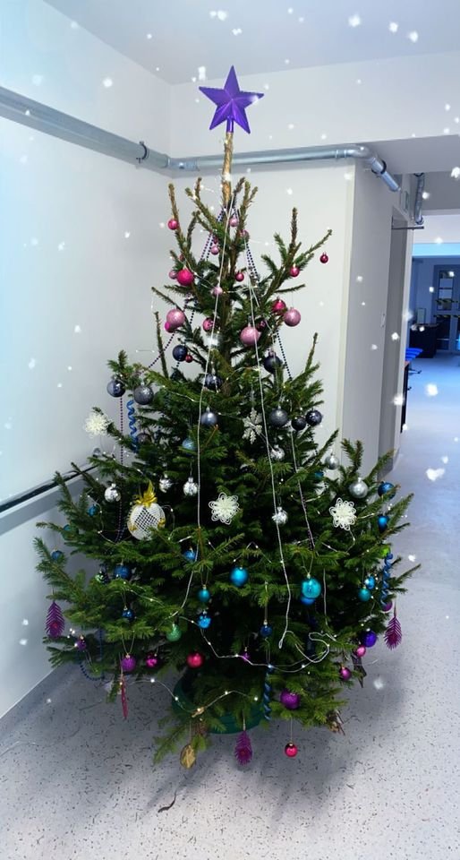 Zdjęcie: Świąteczna choinka przyozdobiona kolorowymi bombkami oraz łańcuchami, na szczycie fioletowa gwiazda. Znajduję się na korytarzu siedzibyPCPR.